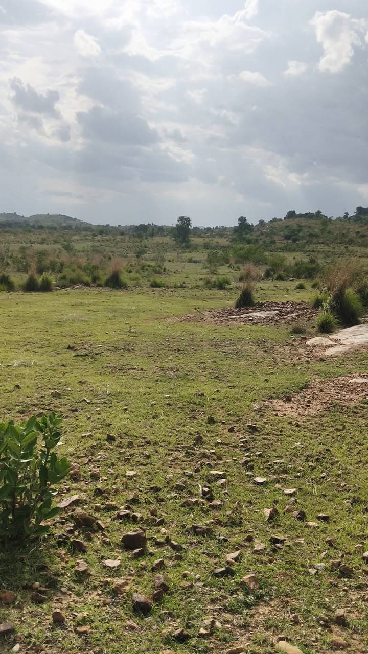 Residential Site for Sale in Purusharakatte Puttur