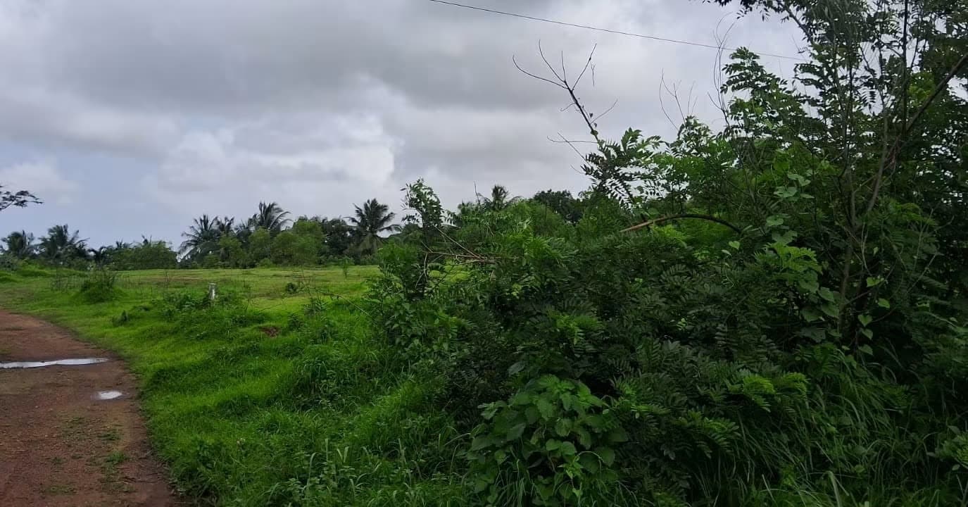 4.98 cents residential land for sale in Surathkal