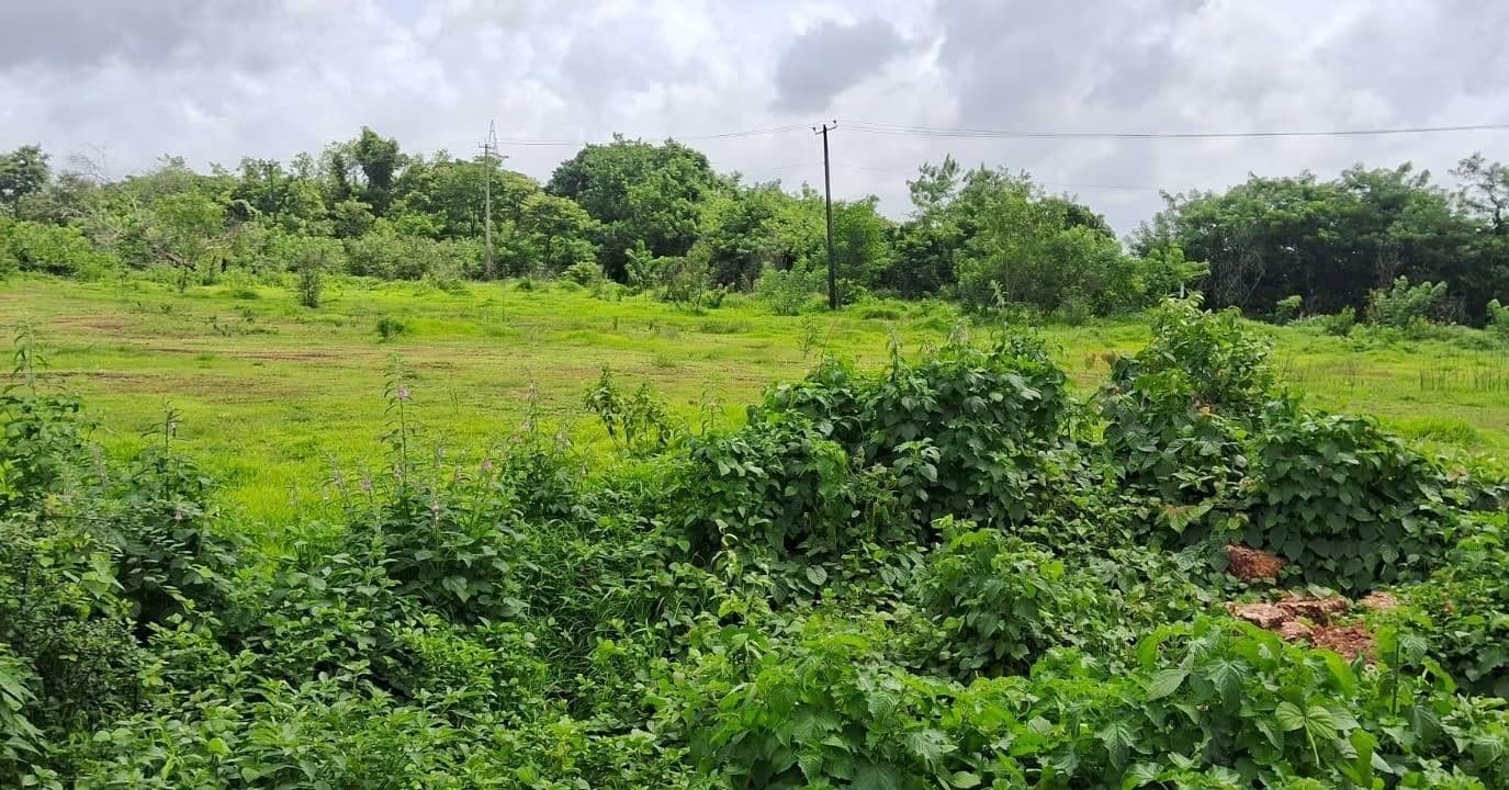 1.3 Acre land for sale in Harekala Mangalore