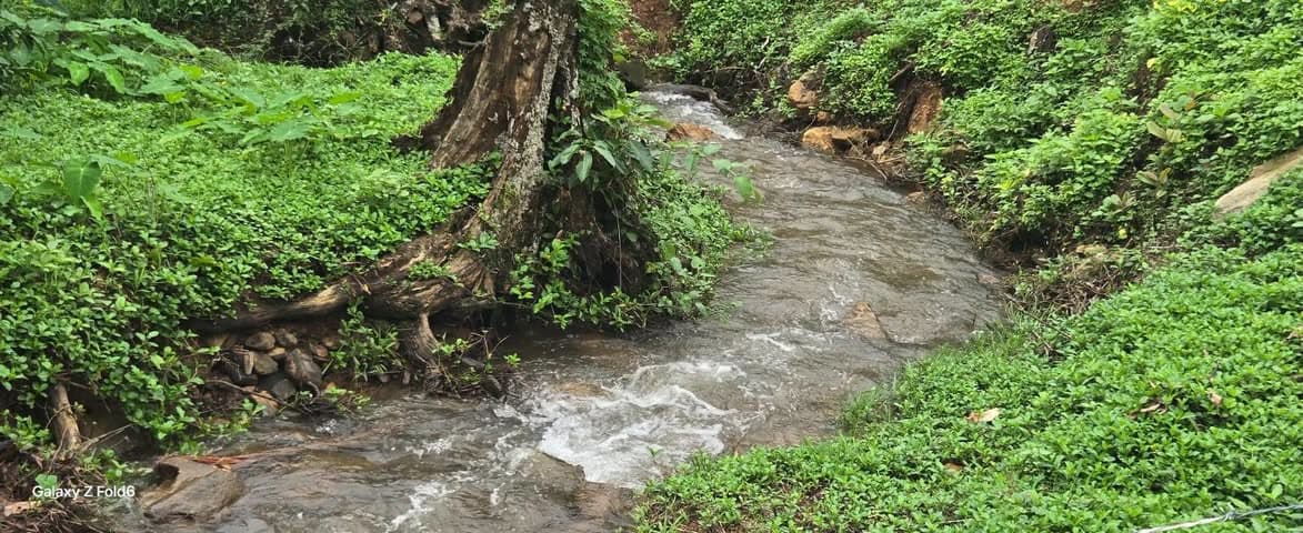 Rural property trends: Karnataka Updates