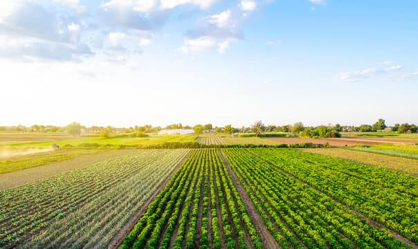 Purpose of Land Conversion